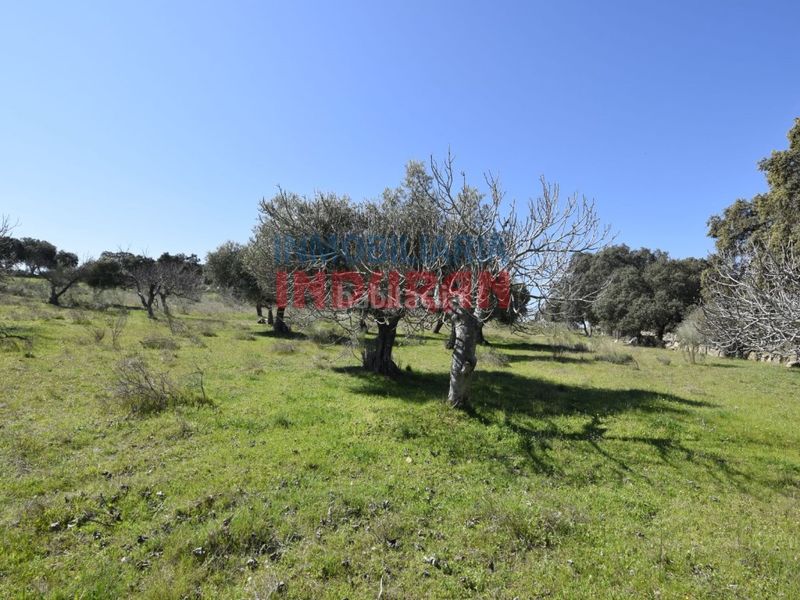 Foto cf8ba350-dd7d-4399-89a2-e636160db50b. Casa a Valdehúncar