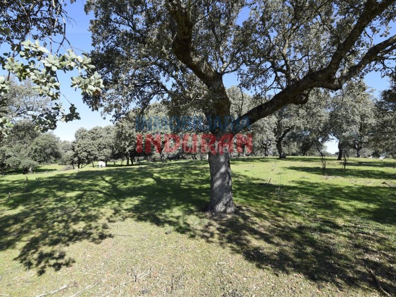 Foto d5c1aad7-acab-41a3-a0dd-5d15776f7795. Casa a Valdehúncar
