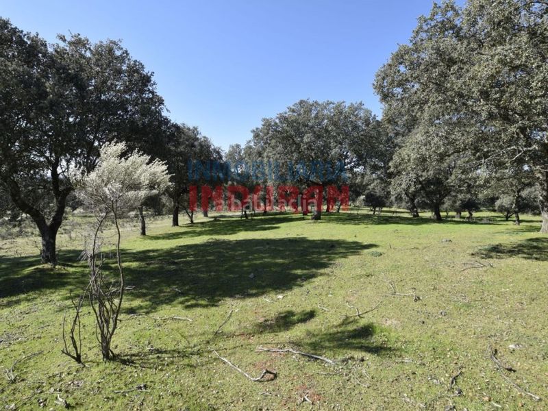 Foto ea467514-7f64-449a-8c1d-4a298a362f42. Casa a Valdehúncar