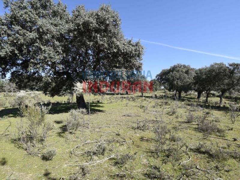 Foto f3bebf74-0176-4b0e-9fff-94860a328731. Casa a Valdehúncar