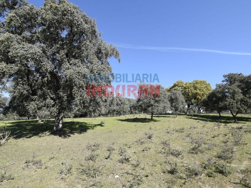 Foto f824aaf6-2b81-4b14-9dbf-eb0bbb867131. Casa a Valdehúncar