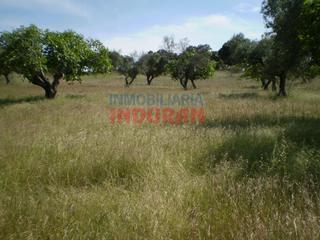 Masia a Valdehúncar. Finca rústica en valdehuncar