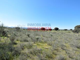Masia a Cc-80. Finca, ideal para recreo o para uso ganadero, situada a 100 m de