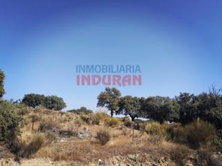 Masia a Valdehúncar. 4 fincas ganaderas y de recreo con encinas en valdehuncar