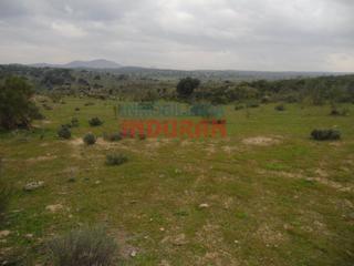 Masia a Villar del Pedroso. Finca de 16.7 hectáreas ideal para uso ganadero, cinegético o pa