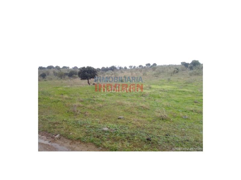 Foto 68db954f-2487-4302-8fdd-c9b86d9d098d. Casa a Villar del Pedroso