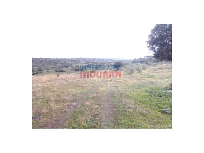 Foto bce51b5b-38c5-41fc-98e5-e530b4c24a7d. Casa a Villar del Pedroso