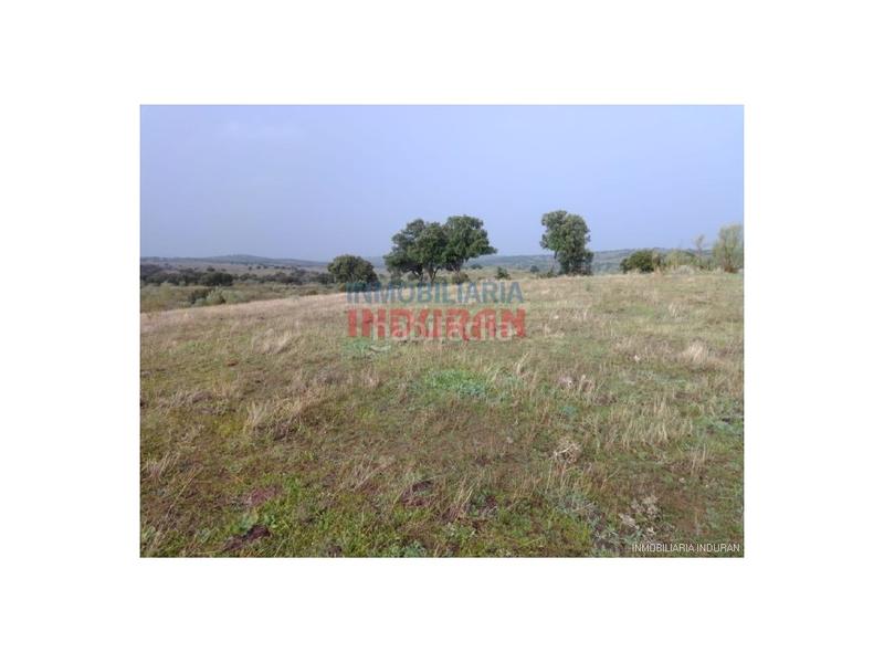 Foto d7510f65-f5cb-48fe-acd0-01a39f36e667. Casa a Villar del Pedroso