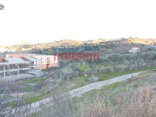 Terreny residencial a Navalmoral de la Mata. Solar urbanizable de 5500 m2 en el que actualmente hay un olivar