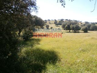 Masia a Millanes. Finca rústica junto a la urbanización la narota millanes, cácere