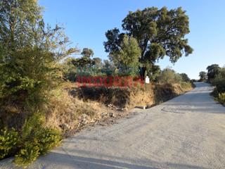 Masia a Millanes. Finca rústica en el paraje las viñas en millanes cáceres