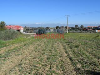 Masia a Peraleda de la Mata. Parcela junto a la carretera y frente a la nave de piensos teca
