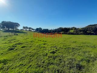 Masia a Millanes. Finca con encinas, cerrada con paredes de piedra y situada a 250