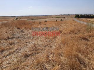 Terrain résidentiel à Peraleda de la Mata. Parcela de regadío cerca del pantano situada en término municipa