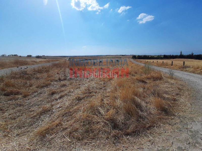 Foto 46138dd0-12fb-40bd-a6ac-8aa182dda1ed. Terreny residencial a Peraleda de la Mata