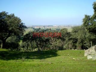 Masia a Millanes. Finca ganadera con encinas, chaparros y algunas higueras en mill