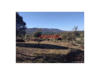 Masia a Fresnedoso de Ibor. Finca de 32 hectáreas cerrada con malla cinegética, con encinas
