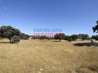 Masia a Millanes. Finca de 18600 m2 poblada de encinas situada a 700 m del casco u