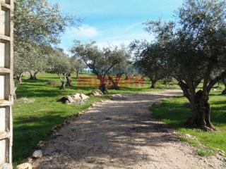 Masia a Belvís de Monroy. Parcela junto a suelo urbano cáceres