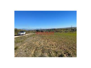 Casa a Peraleda de la Mata. Finca de 5300 m2, de labor y acceso por pista de tierra en peral