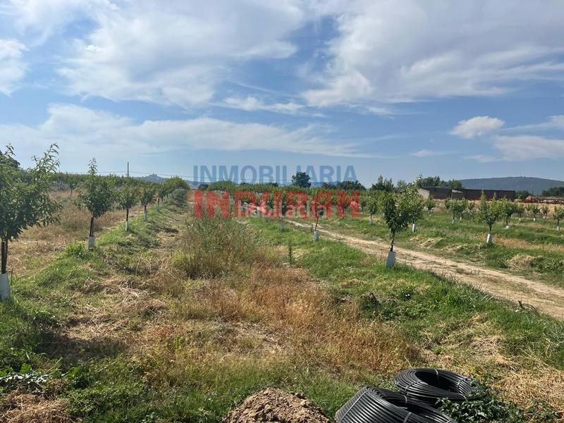 Foto 0958dc3f-8ed5-421e-9ccf-934cfbf238e9. Casa a Belvís de Monroy