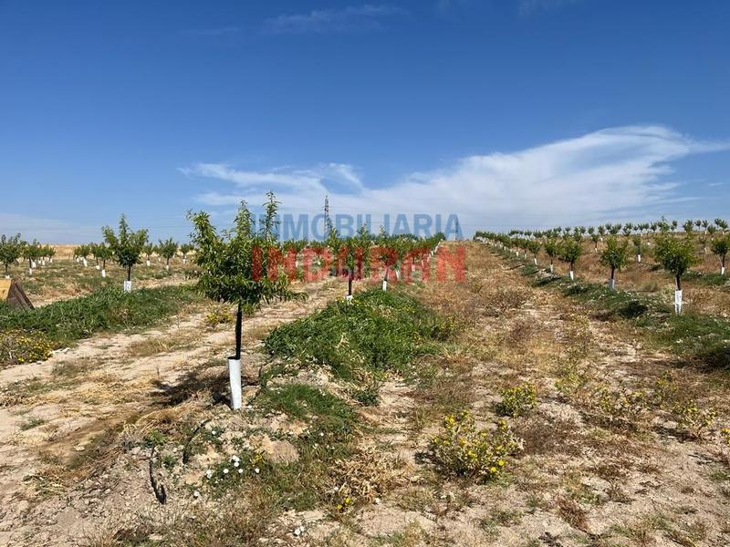 Foto aae2f4a2-086b-43f1-a9ef-e8f22893f276. Casa a Belvís de Monroy