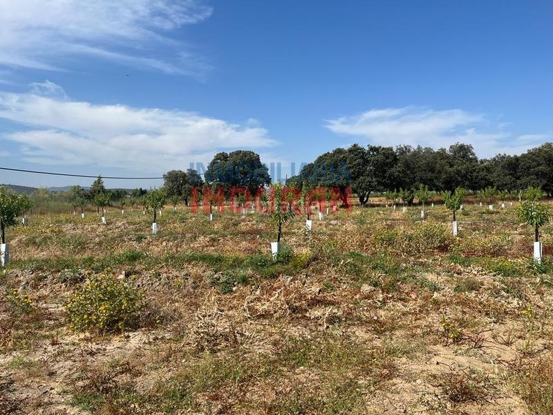 Foto ba9ec29d-279a-4d70-bdb3-1c415cbbbb66. Casa a Belvís de Monroy