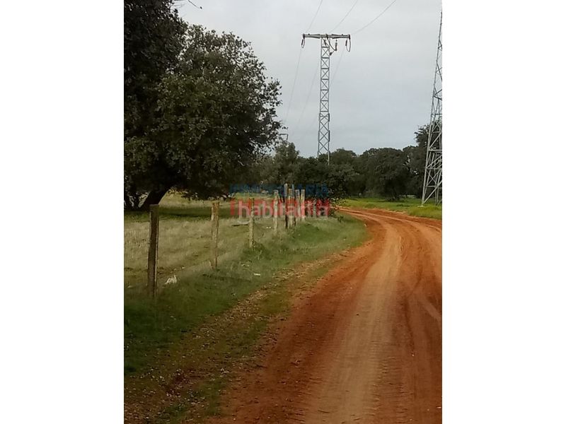 Foto 7ab96876-3aa6-4bec-8227-dba59ebce48f. Country house in Alcolea de Tajo