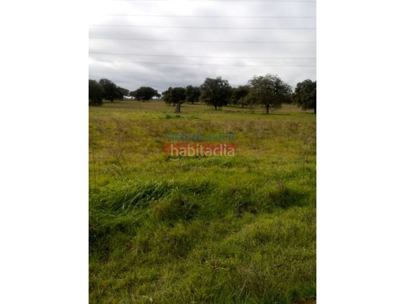 Foto 88138b0e-a852-48b4-87f1-9a69739cf9c0. Country house in Alcolea de Tajo