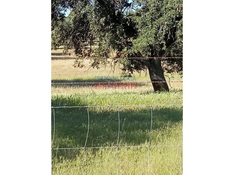 Foto 8baccfab-92dd-4845-ac71-5087e8b4952d. Country house in Alcolea de Tajo