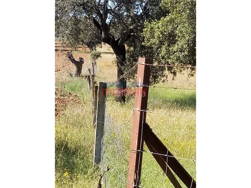 Foto d1e8b811-b8d8-474b-afac-bd5a0b5db76c. Country house in Alcolea de Tajo