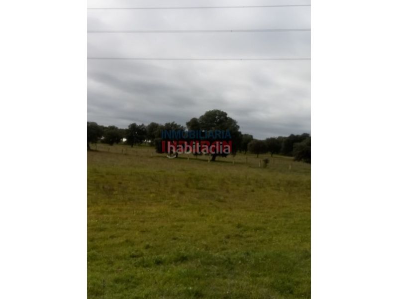 Foto f16dd992-1ef7-4699-ac83-e60c8e0e7ba8. Country house in Alcolea de Tajo