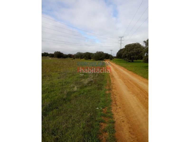 Foto fe833f69-2114-4f98-8a32-b28841442d7c. Country house in Alcolea de Tajo