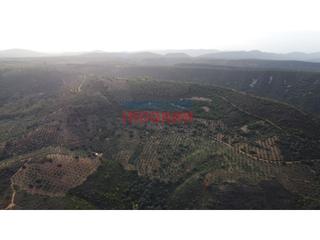 Mas à Castañar de Ibor. Finca 145 ha en castañar de ibor cáceres