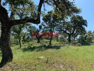 Masia a Trujillo. Finca de 172 ha ganadera y de recreo en trujillo cáceres