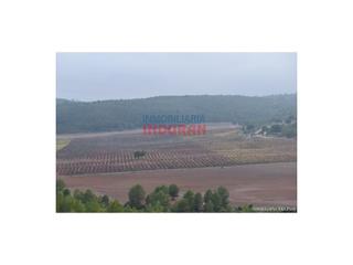 Mas à Víllora. Finca de 2100 has de caza mayor y agrícola en villora cuenca