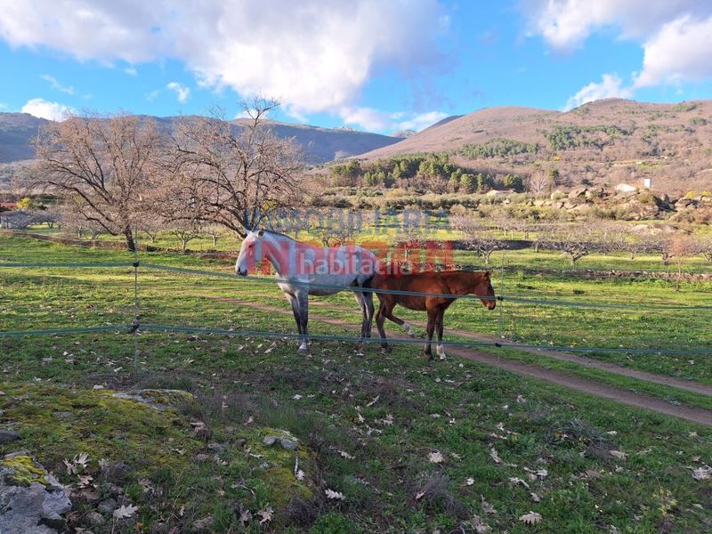 Foto f06da5a2-4783-45be-a071-1a5346e04407. Masia a Arenas de San Pedro