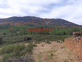 Masia a Puerto de San Vicente. Finca rústica de 193 ha con jabalíes, corzos, venados, con una c