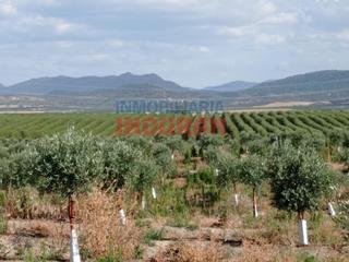 Masia  N/a. Venta de explotación agrícola en saucedilla, cáceres.