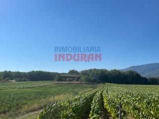 Masia  N/a. Finca de 3800 m2 de regadío con bastantes construcciones en tala