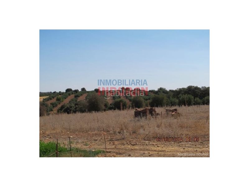 Foto 1dd984ee-2336-42fd-aea9-70f13192ff40. Masia a Almedina