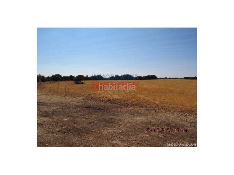 Foto d1eed1c5-3633-4adc-a783-b2b08fbfdd80. Masia a Almedina