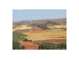 Maison à Almedina. Finca de 530 has en montiel, ciudad real