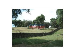 Maison à Estación Arroyo Malpartida. Finca de 231 ha con casa rural en cáceres