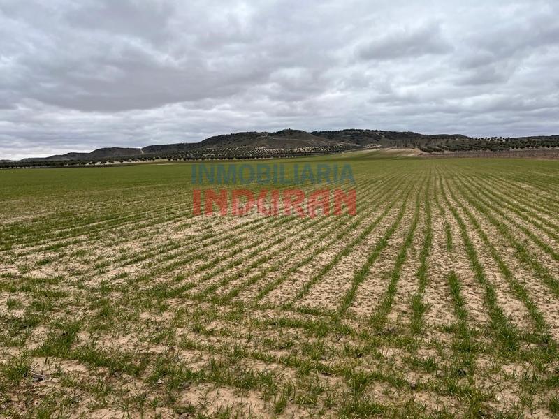 Foto 132e1830-3ba4-4f9a-87f4-7cdbc9733a23. Casa in Centro Aranjuez