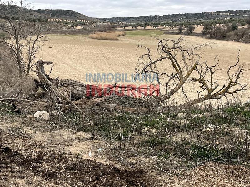 Foto d80cb4bf-bd5b-447f-8ea4-9114802cc9cb. Casa in Centro Aranjuez