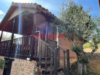 Geschäftsraum in Jaraíz de la Vera. Finca rústica en el corazón de la comarca la vera, provincia de