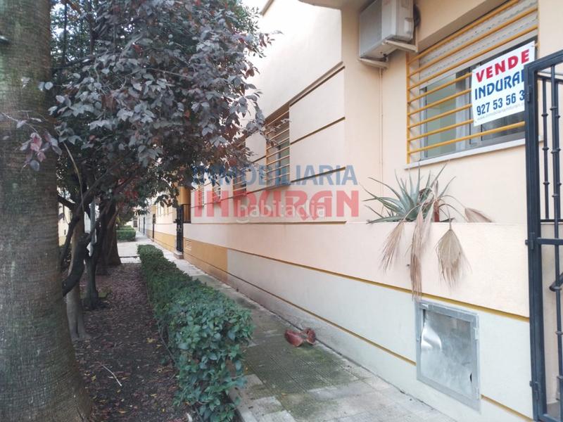 Foto 2a3090d1-4f2c-42d1-a4d3-7e0cd6307375. Pis a Navalmoral de la Mata