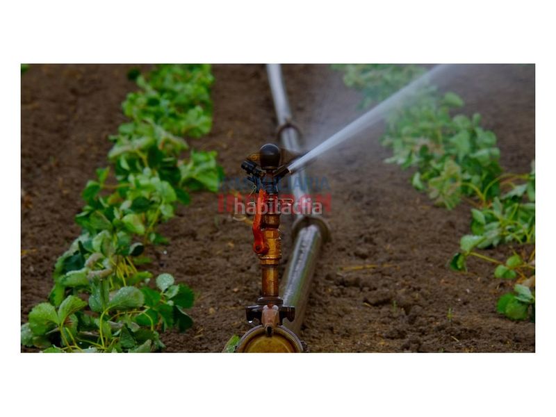 Foto c84ab0de-8ad4-4cae-bac5-e01998044f3c. Masia a Belvís de Monroy