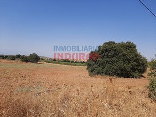 Bauernhof in Peraleda de la Mata. Finca rústica vallada y con pozo en peraleda de la mata, cáceres